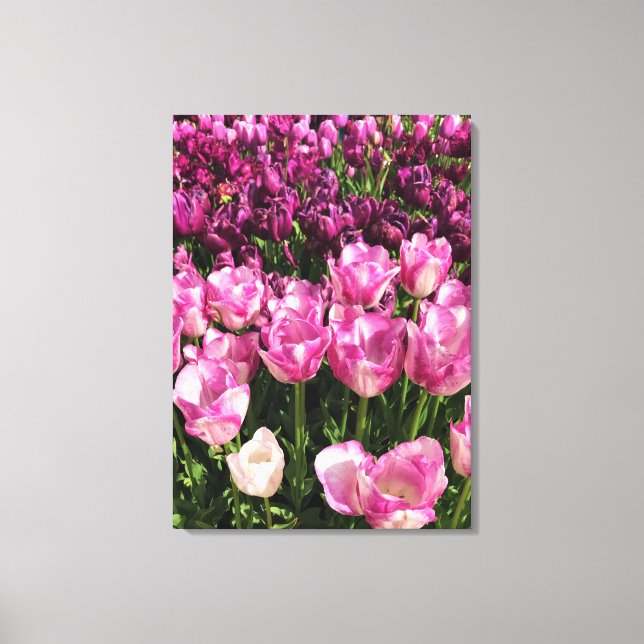 Lienzo Cama de jardín tulipán morado y rosa, Oregón (Anverso)