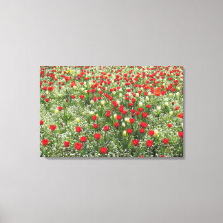 Lienzo Cama de tulipanes