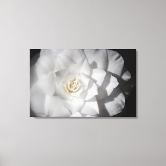 Lienzo Camelia blanca