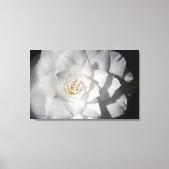 Lienzo Camelia blanca (Anverso)