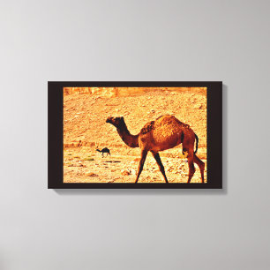Lienzo Camello de reflexión