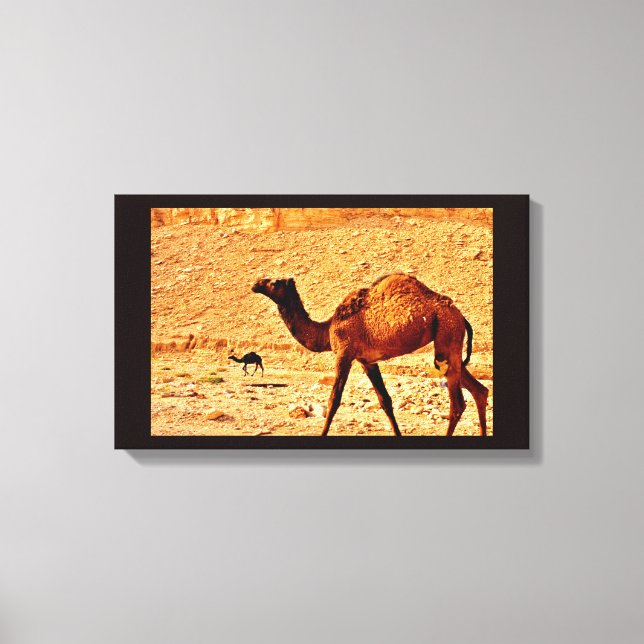 Lienzo Camello de reflexión (Anverso)