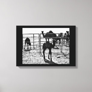 Lienzo Camello elegante