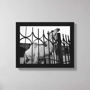 Lienzo Camello estratégico