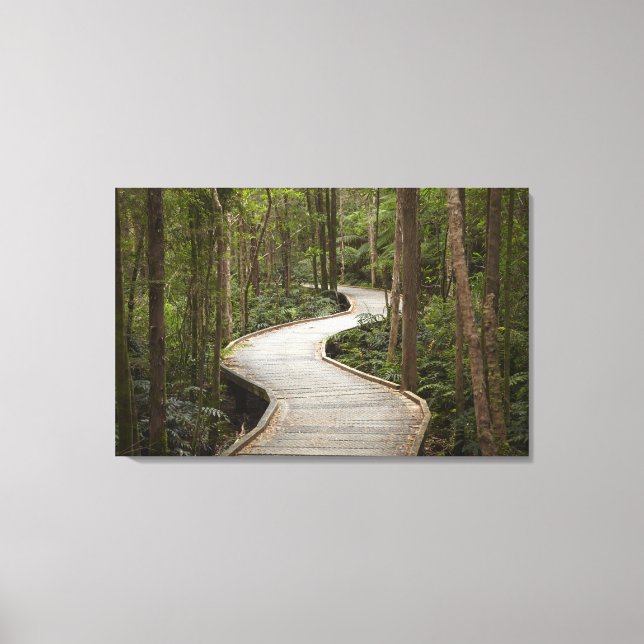 Lienzo Caminata a Nelson Falls, Franklin - Gordon (Anverso)