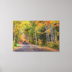 Lienzo Camino de grava de hoja con color otoño