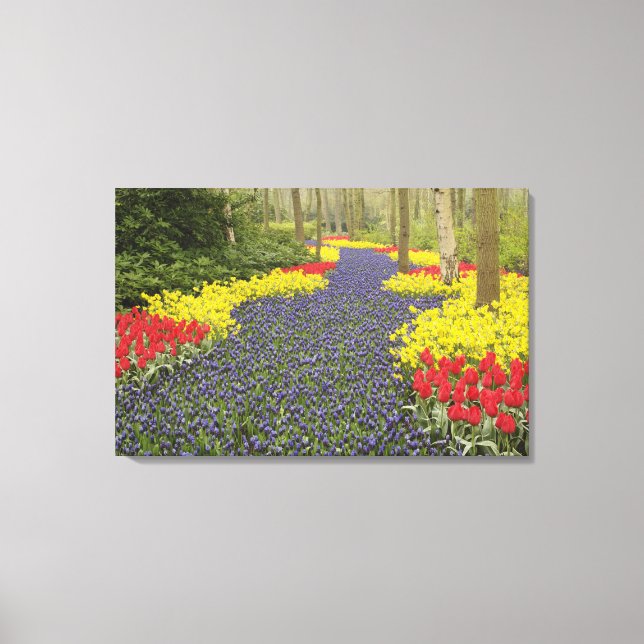 Lienzo Camino de jacintos de uva, narcisos y (Anverso)