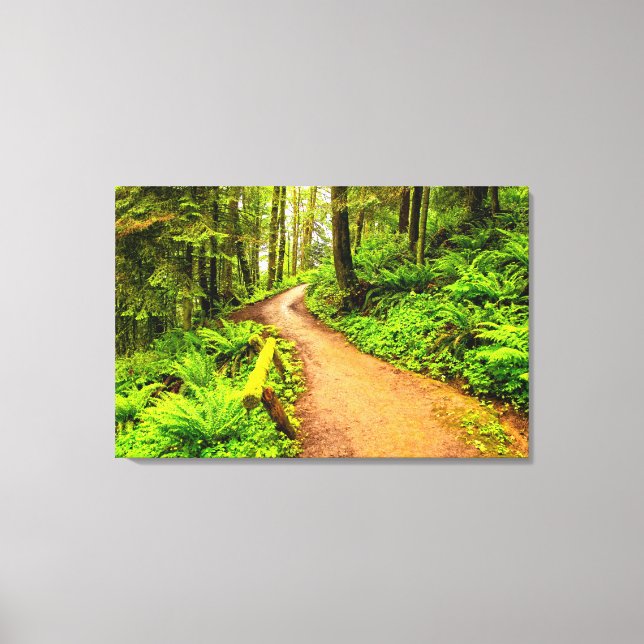 Lienzo Camino de senda en el Parque Forestal (Anverso)