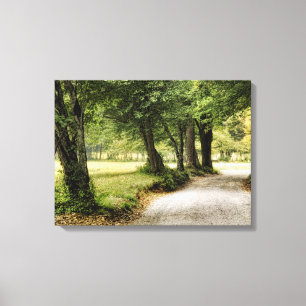 Lienzo Camino en el país