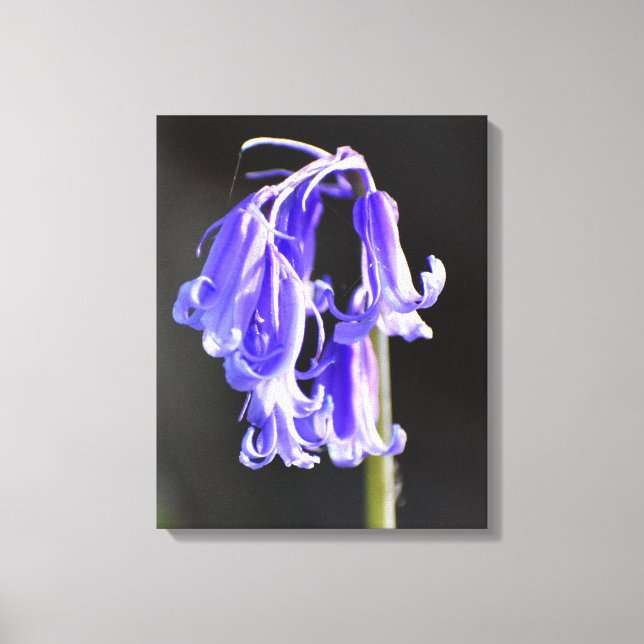 Lienzo Campanillas azules (Anverso)