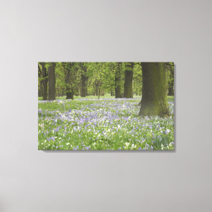Lienzo Campanillas y Robles en Primavera, Little Hagley