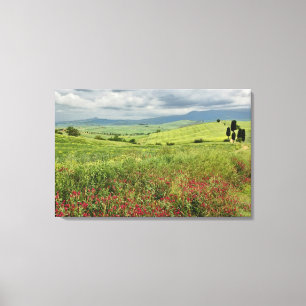 Lienzo Campo agrícola, región de Toscana, Italia.