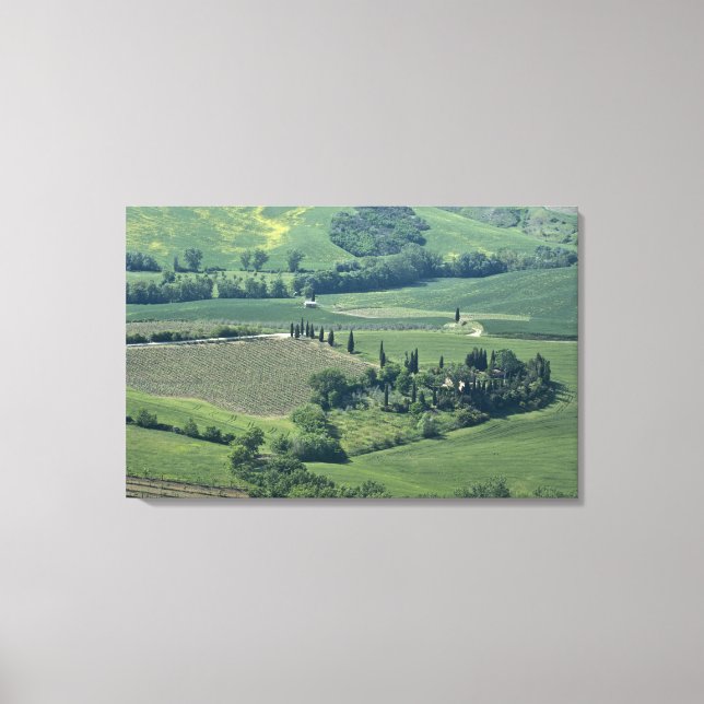 Lienzo Campo cerca de Montepulciano, Val d'Orcia, (Anverso)