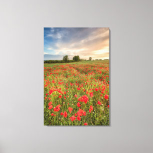 Lienzo Campo de amapolas