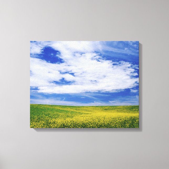 Lienzo Campo de flores de canola o mostaza, Palouse (Anverso)