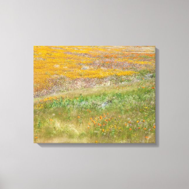 Lienzo Campo de flores silvestres (Anverso)