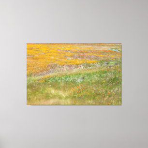 Lienzo Campo de flores silvestres