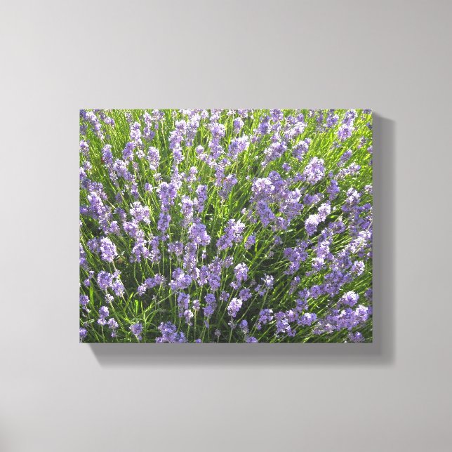 Lienzo Campo de Lavanda (Anverso)
