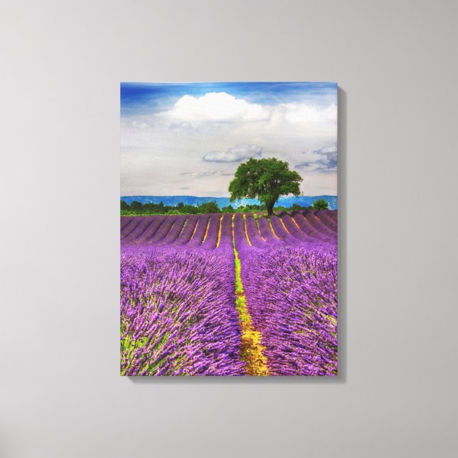Lienzo Campo de lavanda escénico, Francia (Anverso)