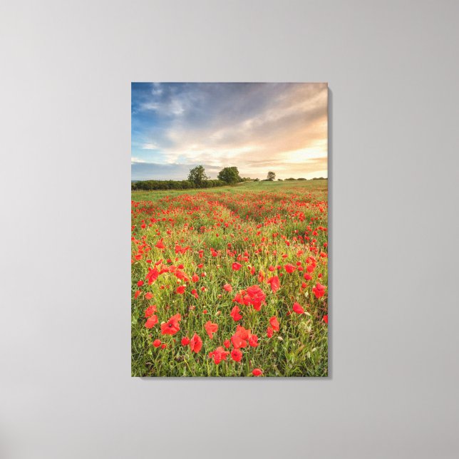 Lienzo Campo de los Coppies (Anverso)