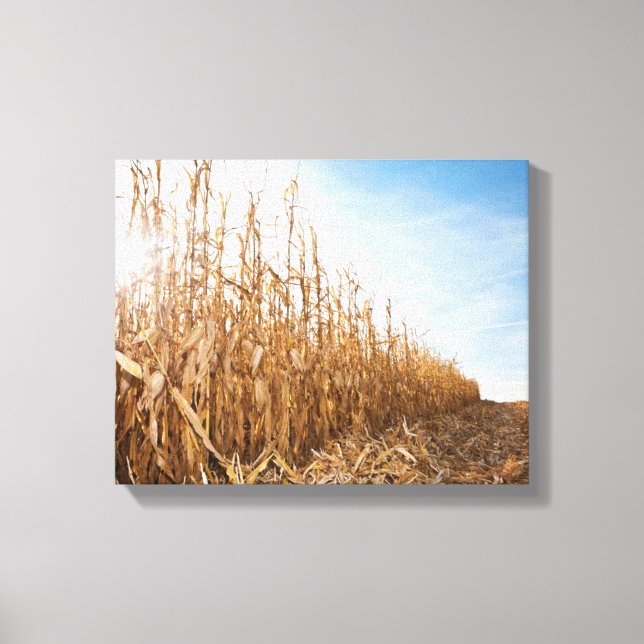 Lienzo Campo de maíz parcialmente cosechado (Anverso)