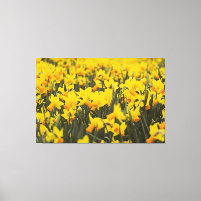 Lienzo Campo de Narcisos (Anverso)