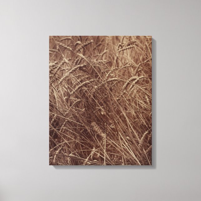 Lienzo Campo de trigo (por Eugène Atget) (Anverso)