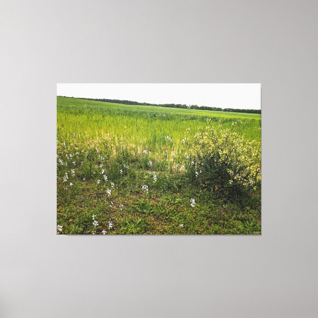 Lienzo Campo exuberante con flores silvestres (Anverso)