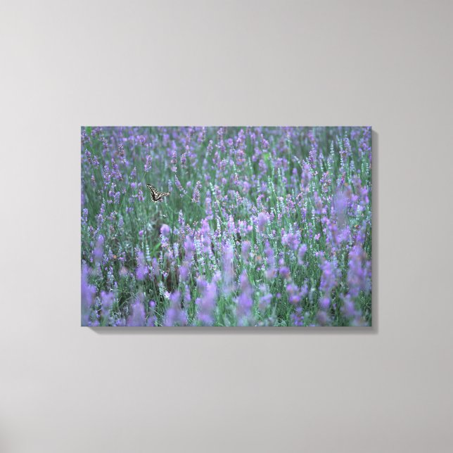 Lienzo Campo Lavender (Anverso)
