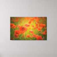 Campo Poppies