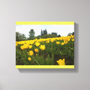 Lienzo Campo tulipán amarillo, Oregón