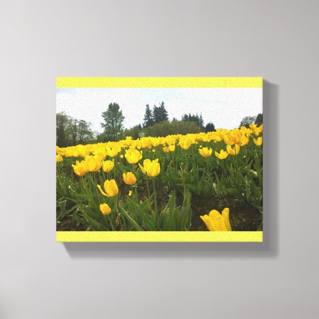 Lienzo Campo tulipán amarillo, Oregón (Anverso)