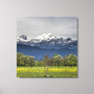 Lienzo Campo verde con alpes nevados