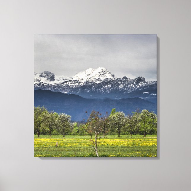 Lienzo Campo verde con alpes nevados (Anverso)