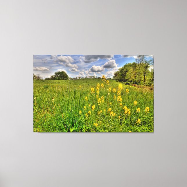 Lienzo Campo verde y cielo azul turbio (Anverso)