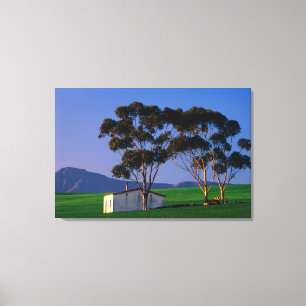 Lienzo Campos de algodón y trigo de los trabajadores agrí