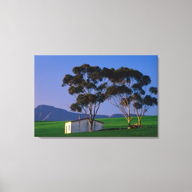 Lienzo Campos de algodón y trigo de los trabajadores agrí (Anverso)