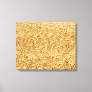 Lienzo Campos de verano de Chipre