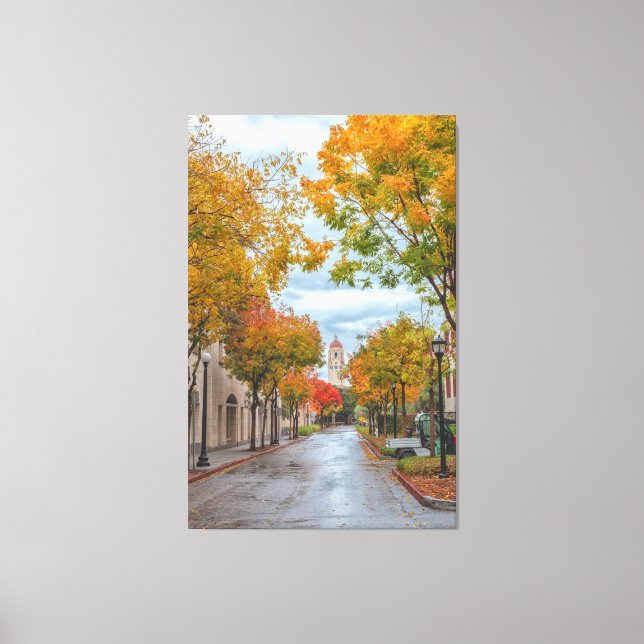 Lienzo Campus de Stanford en otoño (Anverso)