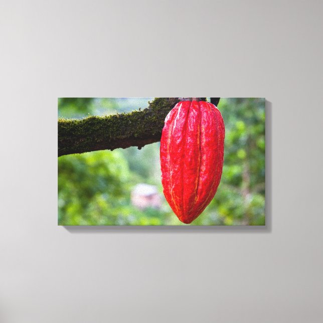 Lienzo caña de cacao (Anverso)