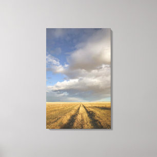 Lienzo Canadá, Alberta, alzate: Paisaje con