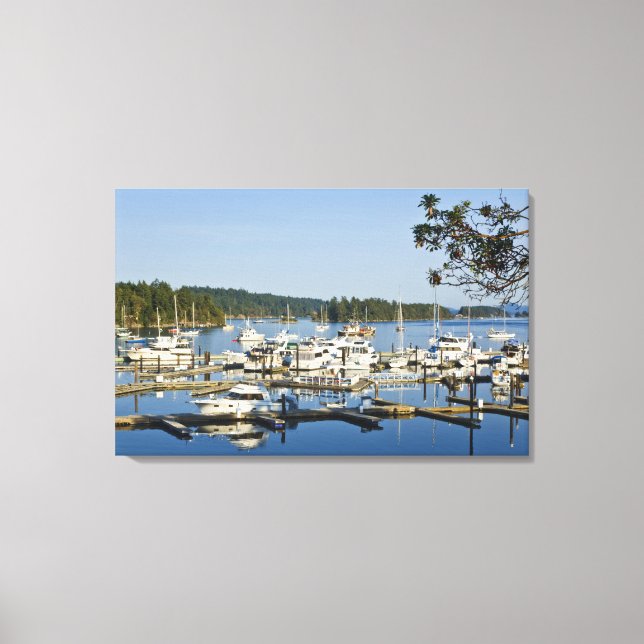Lienzo Canadá, BC, Islas del Golfo, Isla Salt Spring, (Anverso)