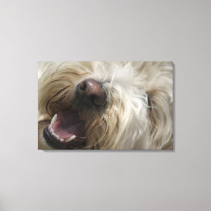 Lienzo Canadá, Columbia Británica, Vancouver