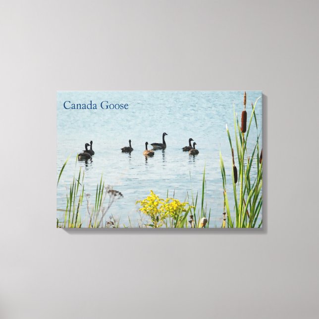 Lienzo Canadá Geese Y Cattails (Anverso)
