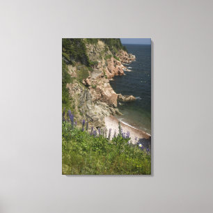 Lienzo Canadá, Nueva Escocia, Isla de Cabo Breton, Cabot