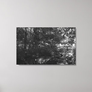 Lienzo Canal, Bute Park, Cardiff