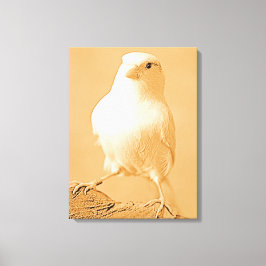 Lienzo Canary Bird Canvas