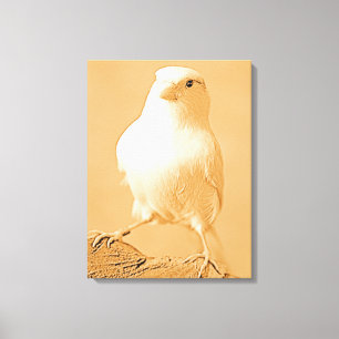 Lienzo Canary Bird Canvas