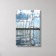Cañas en el lago Rice – Península Superior