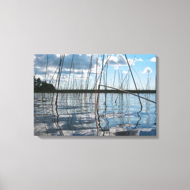 Lienzo Cañas y reflejos en el lago Rice (Anverso)